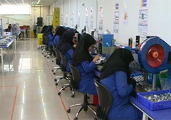 شهرت جهانی گلیم نقش برجسته ایلام + فیلم