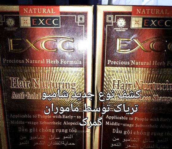 پربازیدهای وبگردی؛