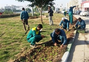 پرداخت بیمه معوقه کارگران فضای سبز آبادان