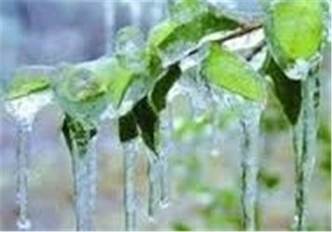 ۲۰۰میلیارد تومان خسارت حوادث غیرمترقبه در استان سمنان است