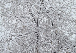 مدارس بستان آباد 26 دی تعطیل است