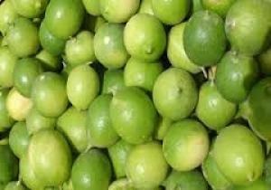 کشف ۵ تن لیموی پاکستانی در ایرانشهر