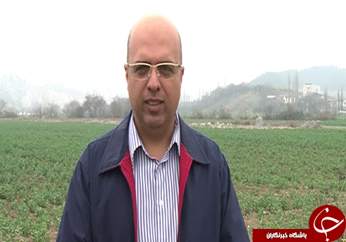 تغییر در اکوسیستم جنگلی یکی از عوامل تغییر اقلیم گلستان/ آیا هوای گلستان به گذشته باز می&zwnj;گردد؟