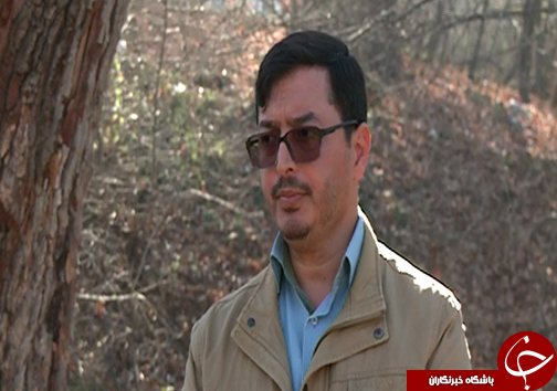 تغییر در اکوسیستم جنگلی یکی از عوامل تغییر اقلیم گلستان/ آیا هوای گلستان به گذشته باز می&zwnj;گردد؟