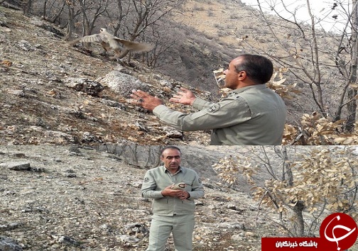 دستگیری 17 نفر شکارچی غیرمجاز در شهرستان دالاهو + تصاویر