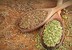 کشت بیش از ۵۰۰ هکتار زیره در گنبدکاووس