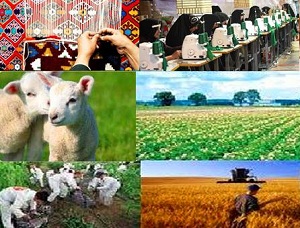 ۲۵ میلیارد ریال سهم اشتغال روستایی تفرش