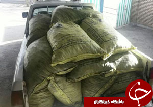 ۱۹ کیسه زغال غیرمجاز بلوط در سلسله کشف شد