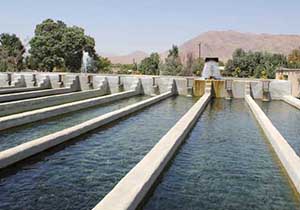 آماده سازی استخرهای گرمابی برای پرورش ماهی
