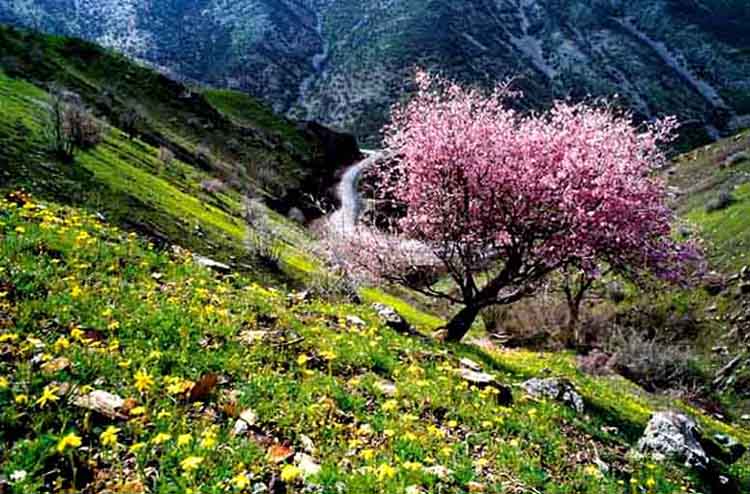 شهرهزار ماسوله ایران کجاست؟
