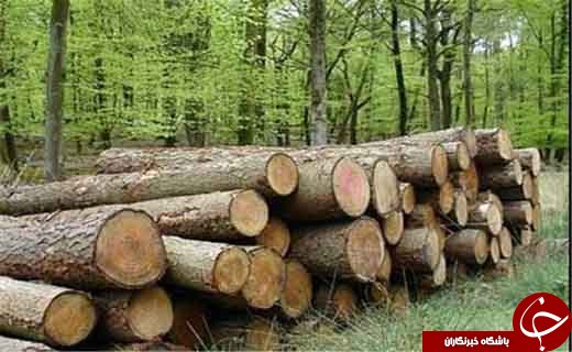 نگاهی گذرا به مهمترین رویدادهای سه شنبه &nbsp;26 دی در مازندران