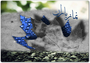اقامه نماز طلب باران در شیراز