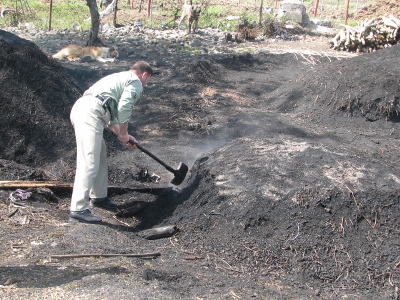 کشف و تخریب کوره های زغال در اندیکا