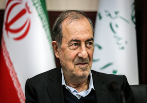 عضو شورای عالی استان&zwnj;ها بودن شغل به حساب نمی&zwnj;آید/ فقدان مرکز پژوهش&zwnj;ها موضوع جدی برای این شورا است
