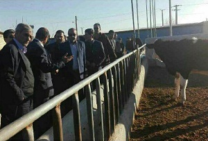 دیدار وزیر جهادکشاورزی از شرکت زرین خوشه اراک و مجتمع تولید بچه ماهی در شازند +تصاویر