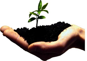 حمایت بسیج سازندگی از کارآفرین طبسی