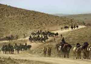شناسایی بیش از یک هزار توان خواه عشایری در فارس