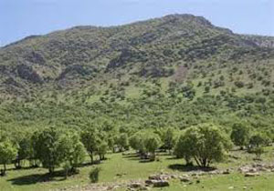 اجرای طرح بین‌المللی جایکا در لرستان