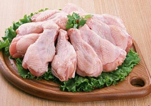 اجرای طرح پایش آنفلوانزای فوق حاد پرندگان در گلستان