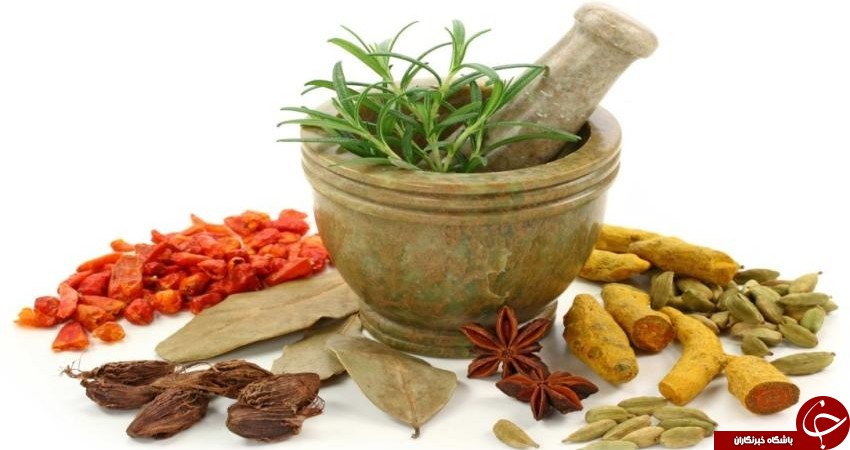 از صفر تا صد شغل پردرآمد عطاری به روایت یک حرفه&zwnj;ای