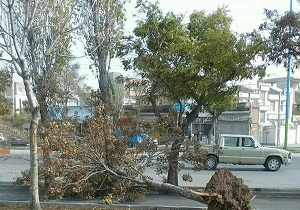 ثبت تند باد با سرعت 65 کیلومتر در روانسر