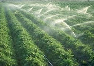 جذب ۱۳میلیاردتومان اعتباربرای طرح‌های کشاورزی لرستان درقالب طرح رونق تولید