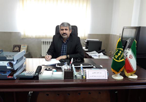 سموم تقلبی در بابل کشف شد