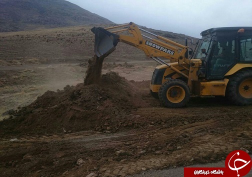 رها کردن لاشه&zwnj;های طیور در تاکستان