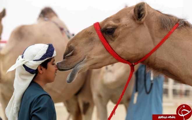 تصاویر روز: