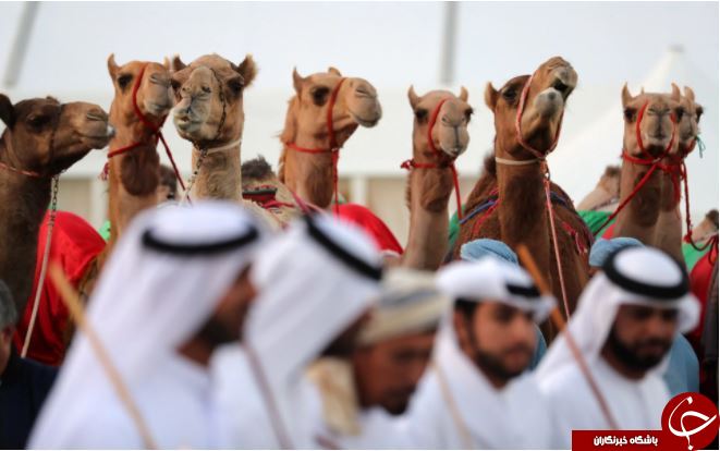 تصاویر روز: