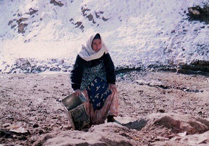 پرداخت بيش از 51 ميليارد تومان مستمری به مددجويان اردبيلی