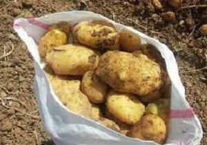 بررسی طرح راه‌اندازی خط تولید نشاسته پلیمری در منطقه ویژه اقتصادی نمین