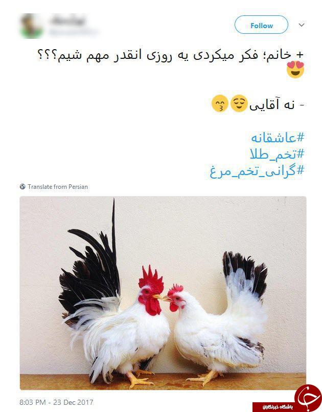 واکنش کابران فضای مجازی به گرانی تخم مرغ! + عکس