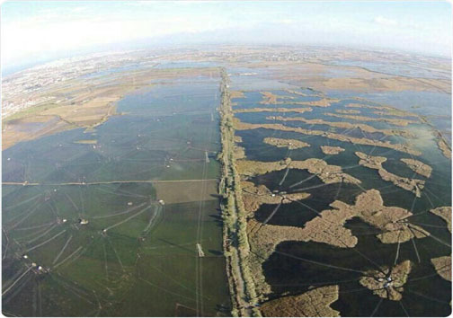 ضرب الاجل برای شکارچیان مهاجران بی زبان در سیاه چاله فریدونکنار