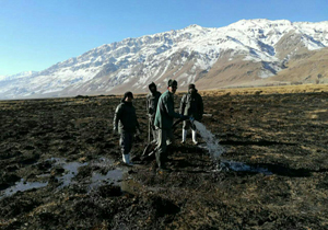 سومین آتش سوزی تالاب گندمان مهار شد