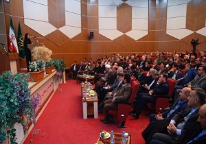 پرداخت یارانه بلا عوض به تاکداران