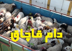 بارکجی که به مقصد نرسید