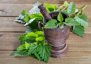 استقبال شرکت های اروپایی از گیاهان دارویی ایران + فیلم
