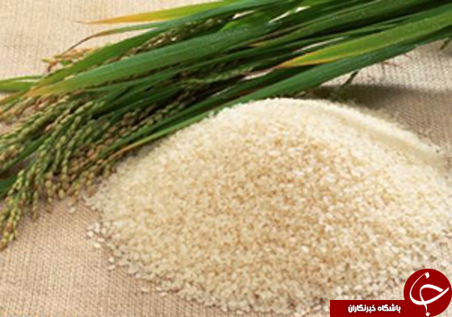 نگاهی گذرا به مهمترین رویداد&zwnj;های شنبه ۳۰ دی ماه در مازندران