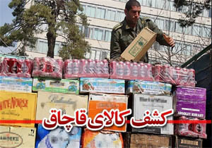 تشکیل بیش از 170 فقره پرونده قاچاق کالا و ارز  در هرمزگان