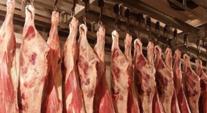 ظرفیت گلستان در ذبح بیش از ۸۰۰ هزار راس دام
