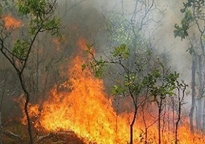 کاهش آتش‌سوزی در مناطق حفاظت‌شده اردبیل