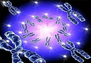 پروژه ملی ایرانوم تا دهه فجر راه اندازی می شود
