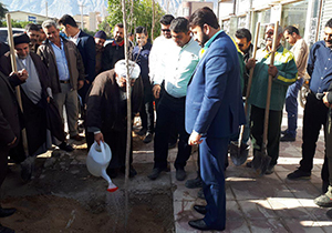 کاشت ۱۱۰۰ درخت به یاد شهدا در کازرون
