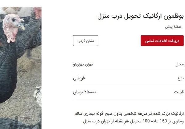 هر آنچه درباره محصولات ارگانیک باید بدانید