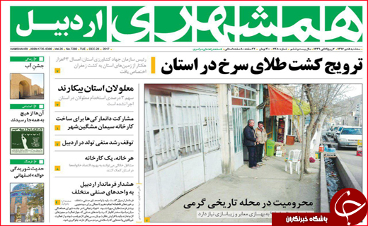 از پرواز قیمت تخم مرغ تا مصائب صنعت نو پا