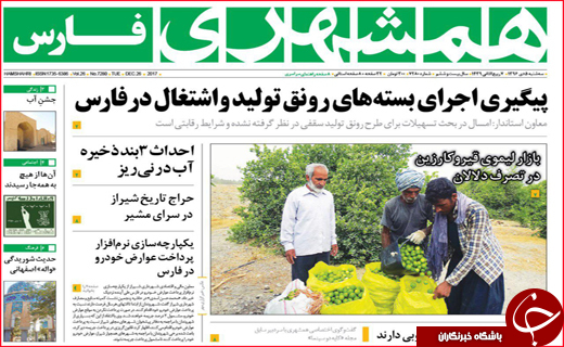 از پرواز قیمت تخم مرغ تا مصائب صنعت نو پا