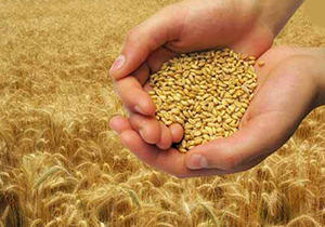 پرداخت بیش از ۲۷ میلیارد تومان زکات