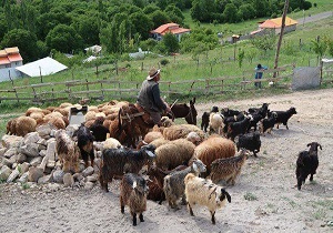اجرای 53 درصد از طرح‌های اشتغال‌زايی در مناطق محروم اردبيل