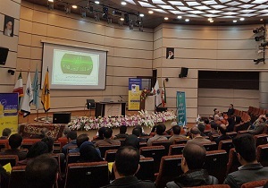 صادرات ۲۰۰ هزار دلاری محصولات صنایع دستی